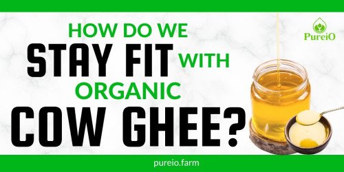 How Do We Stay Fit With Organic Cow Ghee?