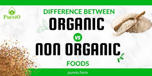 Difference between Organic and Non-Organic Foods