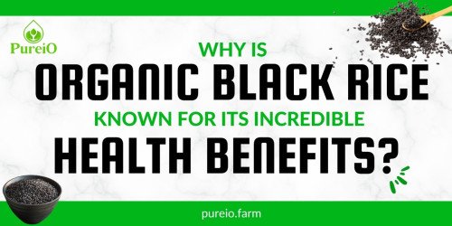 Why Is Organic Black Rice Known For Its Incredible Health Benefits?